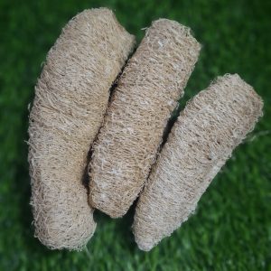 NATURAL LOOFAH (Pack of 2)
